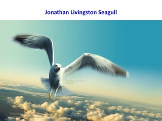 Jonathan Livingston Seagull
Vivek Httangadi - Academy
Pharmaceutical Leadership
1Jonathan Seagull Lives Within Us
 