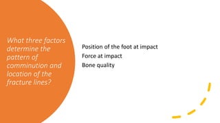 What three factors
determine the
pattern of
comminution and
location of the
fracture lines?
Position of the foot at impact
Force at impact
Bone quality
 