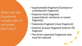 What are the
fragments
usually seen in
calcaneal
fractures?
• Superomedial fragment (Constant or
sustentacular fragment)
• Posterior facet fragment
(superolateral, semilunar or comet
fragment)
• Tuberosity fragment (main fragment)
• Anterior process fragment Anterior STJ
fragment
• The three important fragments that
must be reduced.
 