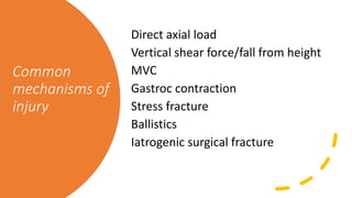 Common
mechanisms of
injury
Direct axial load
Vertical shear force/fall from height
MVC
Gastroc contraction
Stress fracture
Ballistics
Iatrogenic surgical fracture
 
