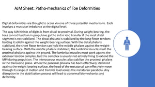 AJM Sheet: Patho-mechanics of Toe Deformities
Digital deformities are thought to occur via one of three potential mechanisms. Each
involves a muscular imbalance at the digital level.
The way AJM thinks of digits is from distal to proximal. During weight-bearing, the
toes cannot function in propulsive gait to aid in load transfer if the most distal
segment is not stabilized. The distal phalanx is stabilized by the long flexor tendons
holding it solidly against the weight-bearing surface. With the distal phalanx
stabilized, the short flexor tendon can hold the middle phalanx against the weight-
bearing surface. With the middle phalanx stabilized, the lumbrical muscles hold the
proximal phalanx against the ground. The lumbrical muscles must work against the
extensor tendon complex, but this complex is usually not actively firing to extend the
MPJ during propulsion. The interosseous muscles also stabilize the proximal phalanx
in the transverse plane. When the proximal phalanx has been effectively stabilized
against the weight-bearing surface, the head of the metatarsal can effectively move
through its range of motion and transfer load across the metatarsal parabola. Any
disruption in the stabilization process will lead to abnormal biomechanics and
deformity.
 