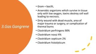 3.Gas Gangrene
• Gram + bacilli,
• Anaerobic organisms which survive in tissue
only with low oxygen, toxins destroy cell wall
leading to necrosis.
• Dirty wound with dead muscle, area of
major trauma or surgery, or complication of
thermal burns
• Clostridium perfringens 90%
• Clostridium novyi 4%
• Clostridium septicum 2%
• Clostridium histolyticum
 