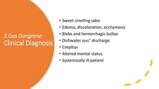 3.Gas Gangrene:
Clinical Diagnosis
• Sweet smelling odor
• Edema, discoloration, ecchymosis
• Blebs and hemorrhagic bullae
• Dishwater pus" discharge
• Crepitus
• Altered mental status
• Systemically ill patient
 