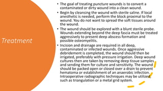 Treatment
• The goal of treating puncture wounds is to convert a
contaminated or dirty wound into a clean wound.
• Begin by cleansing the wound with sterile saline. If local
anesthetic is needed, perform the block proximal to the
wound. You do not want to spread the soft tissues around
the wound.
• The wound should be explored with a blunt sterile probe.
Wounds extending beyond the deep fascia must be treated
aggressively to present deep abscess formation and
possible osteomyelitis.
• Incision and drainage are required in all deep,
contaminated or infected wounds. Once aggressive
debridement is completed, the wound should then be
irrigated, preferably with pressure irrigation. Deep wound
cultures then are taken by removing deep tissue samples
and sending them for culture and sensitivity. The wound
should be packed open or closed over a drain to prevent
hematoma or establishment of an anaerobic infection.
Intraoperative radiographic techniques may be utilized,
such as triangulation or a metal grid system.
 