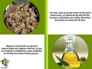 PPS: AZV2
En este caso se puede comer el ajo como
dosis única, un diente de ajo para 44 lbs.
de peso, mezclados con aceite. Normaliza
la presión en menos de 30 días.
Mejora la circulación en general,
mejora todos los órganos internos, lo que
es evidente en diabéticos, pues estabiliza
en 30 días los casos menos graves.
 