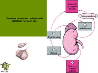 PPS: AZV2
Personas que tienen problemas de
colesterol y presión alta.
 
