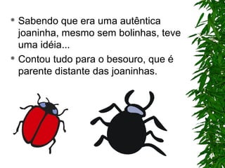  Sabendo que era uma autêntica
joaninha, mesmo sem bolinhas, teve
uma idéia...
 Contou tudo para o besouro, que é
parente distante das joaninhas.
 