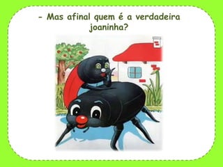 - Mas afinal quem é a verdadeira
joaninha?

 
