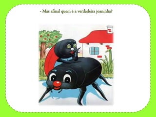 - Mas afinal quem é a verdadeira joaninha?
 