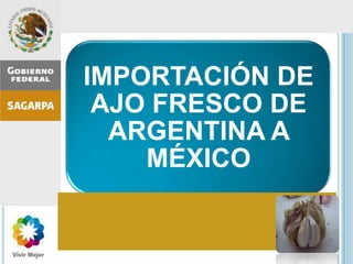 IMPORTACIÓN DE
AJO FRESCO DE
ARGENTINA A
MÉXICO
 