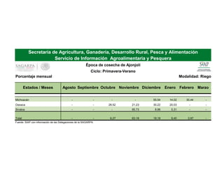 Porcentaje mensual Modalidad: Riego
Estados / Meses Agosto Septiembre Octubre Noviembre Diciembre Enero Febrero Marzo
Michoacán - - - - 55.54 14.02 30.44 -
Oaxaca - - 28.52 21.23 30.22 20.03 - -
Sinaloa - - - 85.73 8.96 5.31 - -
Total - - 6.27 63.18 18.18 9.40 2.97 -
Fuente: SIAP con información de las Delegaciones de la SAGARPA.
Secretaría de Agricultura, Ganadería, Desarrollo Rural, Pesca y Alimentación
Servicio de Información Agroalimentaria y Pesquera
Época de cosecha de Ajonjolí
Ciclo: Primavera-Verano
 