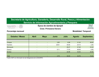 Modalidad: Temporal
Estados / Meses Abril Mayo Junio Julio Agosto Septiembre
Chiapas - - 2.85 6.99 31.34 58.83
Guerrero - - 28.91 44.64 24.15 2.30
Michoacán - - - 29.27 47.49 23.24
Oaxaca - - 6.11 17.43 68.08 8.38
Sinaloa - - - 32.96 43.04 24.00
Total - - 4.79 34.03 44.76 16.43
Fuente: SIAP con información de las Delegaciones de la SAGARPA.
Porcentaje mensual
Secretaría de Agricultura, Ganadería, Desarrollo Rural, Pesca y Alimentación
Servicio de Información Agroalimentaria y Pesquera
Época de siembra de Ajonjolí
Ciclo: Primavera-Verano
 
