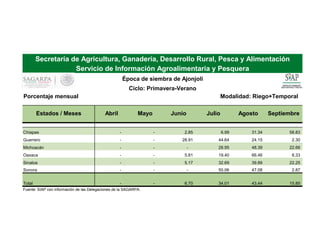 Porcentaje mensual Modalidad: Riego+Temporal
Estados / Meses Abril Mayo Junio Julio Agosto Septiembre
Chiapas - - 2.85 6.99 31.34 58.83
Guerrero - - 28.91 44.64 24.15 2.30
Michoacán - - - 28.95 48.39 22.66
Oaxaca - - 5.81 19.40 66.46 8.33
Sinaloa - - 5.17 32.69 39.89 22.25
Sonora - - - 50.06 47.08 2.87
Total - - 6.70 34.01 43.44 15.85
Fuente: SIAP con información de las Delegaciones de la SAGARPA.
Secretaría de Agricultura, Ganadería, Desarrollo Rural, Pesca y Alimentación
Servicio de Información Agroalimentaria y Pesquera
Época de siembra de Ajonjolí
Ciclo: Primavera-Verano
 