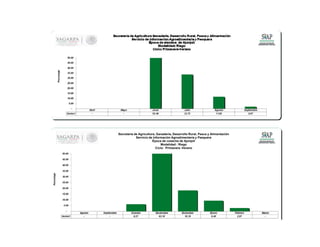 Agosto Septiembre Octubre Noviembre Diciembre Enero Febrero Marzo
Series1 - - 6.27 63.18 18.18 9.40 2.97 -
-
5.00
10.00
15.00
20.00
25.00
30.00
35.00
40.00
45.00
50.00
Porcentaje
Secretaría de Agricultura, Ganadería, Desarrollo Rural, Pesca y Alimentación
Servicio de Información Agroalimentaria y Pesquera
Época de cosecha de Ajonjolí
Modalidad : Riego
Ciclo: Primavera -Verano
Abril Mayo Junio Julio Agosto Septiembre
Series1 - - 52.40 33.72 11.82 2.07
-
5.00
10.00
15.00
20.00
25.00
30.00
35.00
40.00
45.00
50.00Porcentaje
 