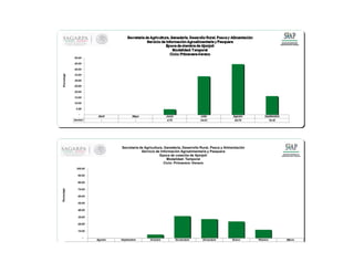 Agosto Septiembre Octubre Noviembre Diciembre Enero Febrero Marzo
-
10.00
20.00
30.00
40.00
50.00
60.00
70.00
80.00
90.00
100.00
Porcentaje
Secretaría de Agricultura, Ganaderia, Desarrollo Rural, Pesca y Alimentación
Servicio de Información Agroalimentaria y Pesquera
Epoca de cosecha de Ajonjolí
Modalidad: Temporal
Ciclo: Primavera -Verano
Abril Mayo Junio Julio Agosto Septiembre
Series1 - - 4.79 34.03 44.76 16.43
-
5.00
10.00
15.00
20.00
25.00
30.00
35.00
40.00
45.00
50.00
Porcentaje
 
