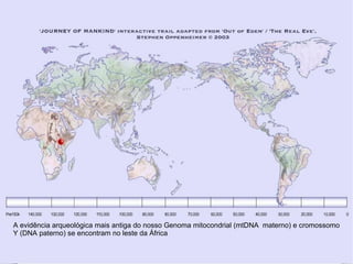 A evidência arqueológica mais antiga do nosso Genoma mitocondrial (mtDNA  materno) e cromossomo Y (DNA paterno) se encontram no leste da África 
