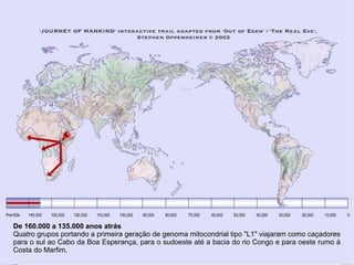 De 160.000 a 135.000 anos atrás
Quatro grupos portando a primeira geração de genoma mitocondrial tipo "L1" viajaram como caçadores
para o sul ao Cabo da Boa Esperança, para o sudoeste até a bacia do rio Congo e para oeste rumo à
Costa do Marfim.
 