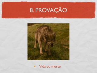 8. PROVAÇÃO




  Vida ou morte
 