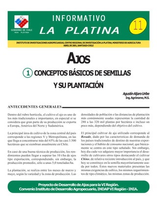 INFORMATIVO
GOBIERNO DE CHILE
INIA

PLATINA

LA

11

PLATINA

INSTITUTO DE INVESTIGACIONES AGROPECUARIAS, CENTRO REGIONAL DE INVESTIGACIÓN LA PLATINA, MINISTERIO DE AGRICULTURA
ABRIL DE 2001, SANTIAGO-CHILE

AJOS
1 CONCEPTOS BÁSICOS DE SEMILLAS
Y SU PLANTACIÓN
Agustín Aljaro Uribe
Ing. Agrónomo, M.S.

ANTECEDENTES GENERALES
Dentro del rubro hortícola, el cultivo el ajo es uno de
los más tradicionales e importantes, en especial si se
considera que gran parte de su producción se exporta
a Europa, América del Norte y Sudamérica.

densidades de población o las distancias de plantación
más comúnmente usadas representan la cantidad de
280 a las 320 mil plantas por hectárea o incluso un
poco más, dependiendo del objetivo del cultivo.

La principal área de cultivo de la zona central del país
corresponde a las regiones V y Metropolitana, en las
que llega a concentrarse más del 65% de las casi 3.500
hectáreas que se siembran anualmente en Chile.

El principal cultivar de ajo utilizado corresponde al
Rosado, dado por las características de demanda de
los países tradicionales de destino de nuestras exportaciones y el hábito de consumo nacional, que básicamente se centra en este tipo señalado. Sin embargo,
hoy día cada vez adquiere mayor importancia el desarrollo de cultivares otros tipos destacando el cultivar
Chino, de relativa reciente introducción al país, y que
hoy se constituye en la semilla mayoritariamente usada por todos. Estos nuevos materiales presentan las
mismas exigencias de cultivo, los mismos requerimientos de tipo climático, las mismas zonas de producción.

En caso de una buena técnica de producción, los rendimientos pueden llegar a superar las 10 t/ha de ajos
tipo exportación, correspondiendo, sin embargo, la
producción promedio, sólo a unas 5,0 toneladas/ha.
La plantación, se realiza entre los meses de marzo y
mayo, según la variedad y la zona de producción. Las

Proyecto de Desarrollo de Ajos para la VI Región.
Convenio Instituto de Desarrollo Agropecuario, INDAP VI Región - INIA.

 
