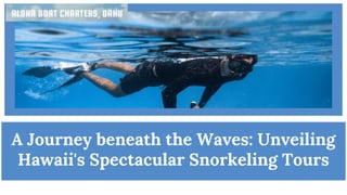 A Journey beneath the Waves: Unveiling
Hawaii's Spectacular Snorkeling Tours
 