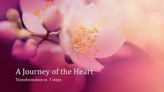 A Journey of the Heart
Transformation in 7 steps
 