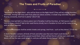 The Trees and Fruits of Paradise
"And those on the Right Hand - who will be those on the Right Hand? [They will be] among thornless
lote-trees, Among Talh trees with fruits piled one above another, In shade long-extended, By water
flowing constantly, And fruit in plenty" [56:27-32]
The lotus tree [ad-Sidr] is a thorny plant, but in Paradise it will be thornless. at-Talh [acacia tree] is a
tree of Hijaaz, a kind of 'idah [a fair sized thorny shrub], but in Paradise its fruits will be ready to eat,
with no effort required.
"Verily the Muttaqoon shall be amidst shades and springs, And fruits - such as they desire" [77:41-42]
In short, Paradise contains all kinds of fruits and other joys that one's heart could desire:
"Trays of gold and cups will be passed round them, [there will be] therein all that one's soul could
desire, all that the eyes could delight in, and you will abide therein forever" [43:71]
 