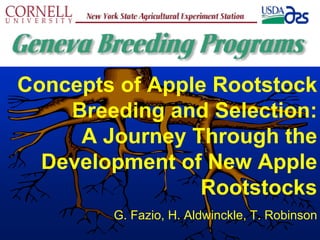 Concepts of Apple Rootstock
Breeding and Selection:
A Journey Through the
Development of New Apple
Rootstocks
G. Fazio, H. Aldwinckle, T. Robinson

 