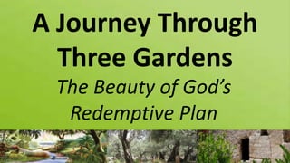 A Journey Through
Three Gardens
The Beauty of God’s
Redemptive Plan
 