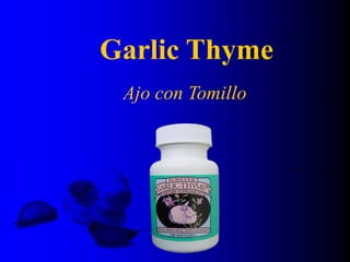 Garlic Thyme
Ajo con Tomillo
 