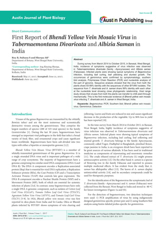 Citation: Roy B, Sultana S and Sherpa AR. First Report of Bhendi Yellow Vein Mosaic Virus in Tabernaemontana
Divaricata and Albizia Saman in India. Austin J Plant Biol. 2017; 3(1): 1017.
Austin J Plant Biol - Volume 3 Issue 1 - 2017
ISSN: 2472-3738 | www.austinpublishinggroup.com
Sherpa et al. © All rights are reserved
Austin Journal of Plant Biology
Open Access
Abstract
During survey from March 2014 to October 2015, in Barasat, West Bengal,
India, incidence of symptoms suggestive of virus infection was observed
in Tabernaemontana divaricata (family –Apocynaceae) and Albizia saman
(Fabaceae). Infected plants were showing typical symptoms of Begomovirus
infection, including leaf curling, leaf yellowing and stunted growth. The
occurrences of geminivirus were confirmed by symptomatology, southern
blot analysis, Polymerase Chain Reaction (PCR) and nucleotide analysis of
the part of genome. Sequence analysis showed that the virus from both the
plants share 93-99% identity with the sequences of other BYVMV isolates. The
sequence from T. divaricata and A. saman share 99% identity with each other
at the nucleotide level showing close phylogenetic relationship. Host range
study shows that viruses from both the plants can transfer to chilli plant through
mechanically. This is the first molecular evidence of Bhendi yellow vein mosaic
virus infecting T. divaricata and A. saman in West Bengal, India.
Keywords: Begomovirus; PCR; Southern blot; Bhendi yellow vein mosaic
virus; Geminivirus; Detection
yellowing. Leaves and fruits are reduced in size and causes significant
decrease in the production of the vegetable. Up to 96% loss in yield
has been reported [10].
In the time survey from March 2014 to October 2015, in Barasat,
West Bengal, India, highly incidence of symptoms suggestive of
virus infection was observed in Tabernaemontana divaricata and
Albizia saman. Infected plants were showing typical symptoms of
Begomovirus infection, including leaf curling, leaf yellowing and
stunted growth. T. divaricata belongs to the family Apocynaceae,
commonly called Togor, Dudhphul in Bangladesh, pinwheel flower,
crape jasmine in India, is an evergreen shrub have been reported to
be great sources of various alkaloids. It has been used in traditional
medicine as components of rejuvenating and neurotonic remedies
[11]. The crude ethanol extract of T. divaricata (L) might possess
antinociceptive activity [12]. On the other hand A. saman is a species
of flowering tree in the family Fabaceae and reported to possess
multiple medicinal effects. It has evident from the study that A.
saman has allelopathic effect [13]. The leaves of A. saman display
antimicrobial activity [14], and its secondary compounds could be
used for therapeutic purposes.
For the identification of the Begomovirus the symptomatic leaf of
T. divaricata (family –Apocynaceae) and A. saman (Fabaceae) were
collected from the Barasat, West Bengal in India and stored in -80 ºC
for future investigation (Figure-1a and 1b).
For the detection of begomoviruses, two detection techniques
were used: 1) PCR amplification of virus by using indigenously
designed geminivirus specific primer pair and 2) using Southern blot
analysis using biotin-labeled probes specific for geminivirus.
Introduction
Viruses of the genus Begomovirus are transmitted by the whitefly
Bemisia tabaci and are the most numerous and economically
destructive viruses among the geminiviruses. They comprise the
largest numbers of species (288 of 325 total species) in the family
Geminiviridae [1]. During the last 30 years, begomoviruses have
emerged as important viral pathogens in the field that infect a broad
variety of food, fiber, and ornamental crops and cause significant
losses worldwide. Begomoviruses have been sub-divided into two
types with either a bipartite or monopartite genome [1,2].
Bhendi Yellow Vein Mosaic Virus (BYVMV) is a member of
whitefly-transmitted geminiviruses of the genus Begomovirus. It is
a single stranded DNA virus and is important pathogen of a wide
range of crop ecosystems. The majority of begomoviruses have a
genome comprising two similar sized DNA components (DNA A and
DNA B). The DNA A component encodes a Replication-associated
protein (Rep) that is essential for viral DNA replication, a Replication
Enhancer protein (REn), the Coat Protein (CP) and a Transcription
Activator Protein (TrAP) that controls late gene expression. The
DNA B component encodes a Nuclear Shuttle Protein (NSP) and a
Movement Protein (MP), both of which are essential for systemic
infection of plants [3,4]. In contrast, some begomoviruses have only
a single DNA A genomic component, such as isolates of Cotton Leaf
Curl Virus (CLCuV), Tomato Yellow Leaf Curl Virus (TYLCV),
Ageratum Yellow Vein Virus (AYVV), and Tomato Leaf Curl Virus
(TLCV) [5-9]. In 1924, Bhendi yellow vein mosaic virus was first
reported in okra plants from India and Sri Lanka. Okra or Bhendi
plants infected by BYVMV shows symptoms of vein clearing and
Short Communication
First Report of Bhendi Yellow Vein Mosaic Virus in
Tabernaemontana Divaricata and Albizia Saman in
India
Roy B, Sultana S and Sherpa AR*
Department of Botany, West Bengal State University,
India
*Corresponding author: Ang Rinzing Sherpa,
Department of Botany, West Bengal State University,
Kolkata, India
Received: May 17, 2017; Accepted: June 21, 2017;
Published: June 29, 2017
 