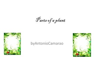 Parts of a plant

byAntonioCamarao

 