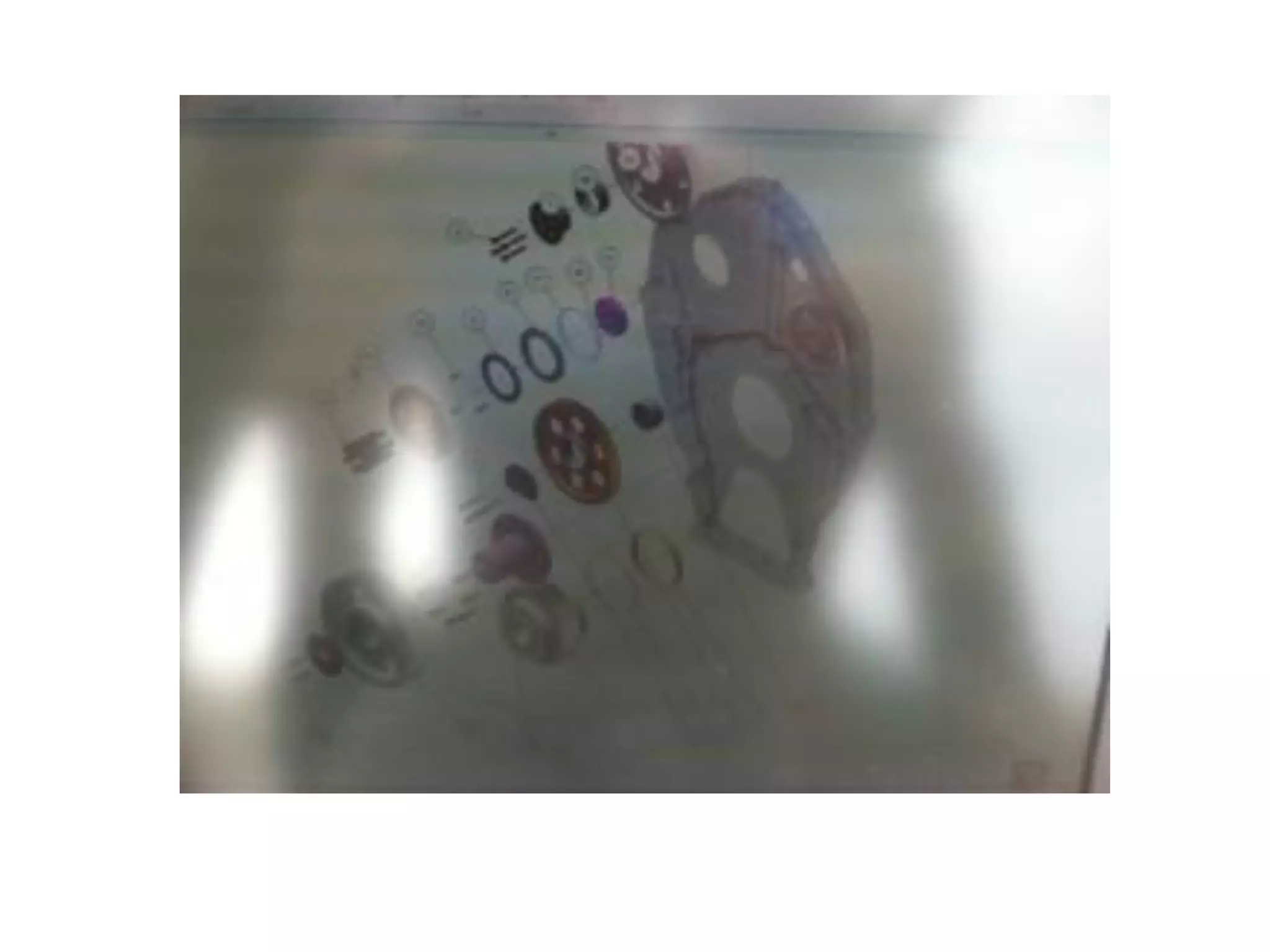 Developing a Global Language: When Words Are Not Enough