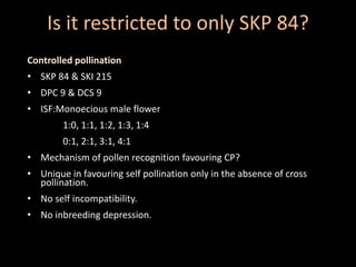 Is it restricted to only SKP 84?
Controlled pollination
• SKP 84 & SKI 215
• DPC 9 & DCS 9
• ISF:Monoecious male flower
1:0, 1:1, 1:2, 1:3, 1:4
0:1, 2:1, 3:1, 4:1
• Mechanism of pollen recognition favouring CP?
• Unique in favouring self pollination only in the absence of cross
pollination.
• No self incompatibility.
• No inbreeding depression.
 
