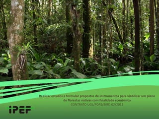 Realizar estudos e formular propostas de instrumentos para viabilizar um plano
de florestas nativas com finalidade econômica
CONTRATO UGL/PDRS/BIRD 02/2013
 