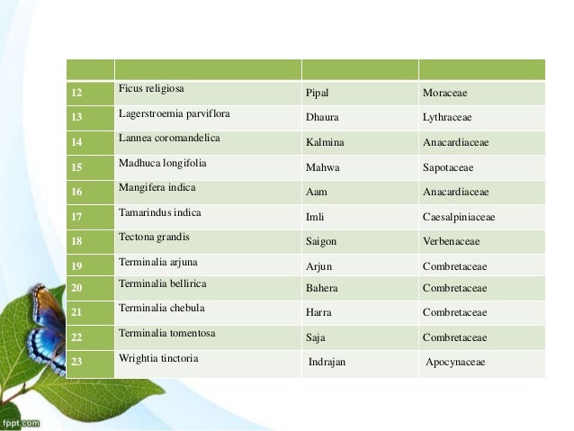 research papers on dyes dye and yielding plants m p dr azra khan ph d research research papers on dyes dye and yielding plants m p dr azra khan ph d research