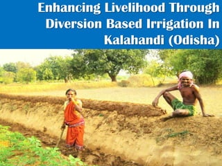 Enhancing Livelihood Through
Diversion Based Irrigation In
Kalahandi (Odisha)
 