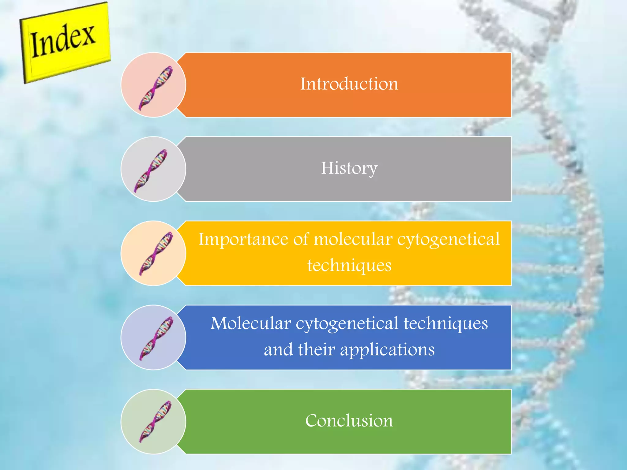 Advanced Techniques In Molecular Cytogenetics Karyotyping, FISH, CGH ...