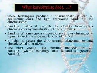 Advanced Techniques In Molecular Cytogenetics Karyotyping, FISH, CGH ...