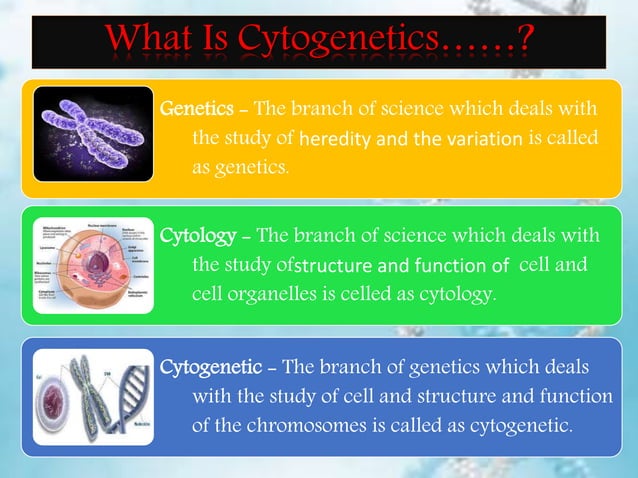 Advanced Techniques In Molecular Cytogenetics Karyotyping, FISH, CGH ...
