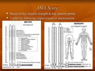 AJ spinal cord 2 presentation basic lesson | PPT