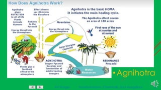Art Sturges Transhumanism, Chemtrails, and Morgellons 10
•Agnihotra
 