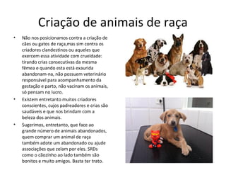 Criação de animais de raça
• Não nos posicionamos contra a criação de
cães ou gatos de raça,mas sim contra os
criadores clandestinos ou aqueles que
exercem essa atividade com crueldade:
tirando crias consecutivas da mesma
fêmea e quando esta está exaurida
abandonam-na, não possuem veterinário
responsável para acompanhamento da
gestação e parto, não vacinam os animais,
só pensam no lucro.
• Existem entretanto muitos criadores
conscientes, cujos padreadores e crias são
saudáveis e que nos brindam com a
beleza dos animais.
• Sugerimos, entretanto, que face ao
grande número de animais abandonados,
quem comprar um animal de raça
também adote um abandonado ou ajude
associações que zelam por eles. SRDs
como o cãozinho ao lado também são
bonitos e muito amigos. Basta ter trato.
 