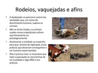 Rodeios, vaquejadas e afins
• A Ajudajudar se posiciona contra tais
atividades que, em nome do
divertimento humano, suplicia os
animais.
• Não se tenha ilusões, os animais
usados nesses espetáculos sofrem
seja fisicamente ou
psicologicamente.
• Atualmente a entidade se empenha
para que, através de legislação, essas
práticas que deveriam envergonhar o
ser humano sejam banidas.
• Mas é preciso mais: é necessário que
toda a população se conscientize de
tal crueldade e diga NÃO a tais
práticas.
 