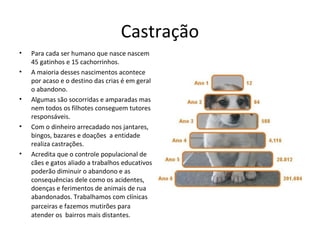 Castração
• Para cada ser humano que nasce nascem
45 gatinhos e 15 cachorrinhos.
• A maioria desses nascimentos acontece
por acaso e o destino das crias é em geral
o abandono.
• Algumas são socorridas e amparadas mas
nem todos os filhotes conseguem tutores
responsáveis.
• Com o dinheiro arrecadado nos jantares,
bingos, bazares e doações a entidade
realiza castrações.
• Acredita que o controle populacional de
cães e gatos aliado a trabalhos educativos
poderão diminuir o abandono e as
consequências dele como os acidentes,
doenças e ferimentos de animais de rua
abandonados. Trabalhamos com clínicas
parceiras e fazemos mutirões para
atender os bairros mais distantes.
 
