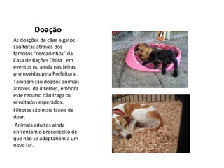 Doação
As doações de cães e gatos
são feitas através dos
famosos “cercadinhos” da
Casa de Rações Ohira , em
eventos ou ainda nas feiras
promovidas pela Prefeitura.
Também são doados animais
através da internet, embora
este recurso não traga os
resultados esperados.
Filhotes são mais fáceis de
doar.
Animais adultos ainda
enfrentam o preconceito de
que não se adaptariam a um
novo lar.
 