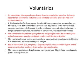 Voluntários
• Os voluntários são peças chaves dentro de uma associação, pois eles, de forma
espontânea executam o trabalho que a entidade necessita e que ela não tem
como remunerar.
• A Ajudajudar dispõe de um grupo de voluntários que executam as mais diversas
tarefas: cuidam do bazar tanto na arrecadação de prendas como na venda das
mesmas, participam de feiras de doação, colaboram na realização dos jantares e
bingos vendendo convites, recebendo os convidados, distribuindo os brindes.
• São também os voluntários que ajudam na recuperação (volta da anestesia) dos
animais castrados quando a entidade realiza mutirões de castração.
• São eles também que muitas vezes acolhem algum animal, principalmente filhotes
e os encaminha posteriormente para adoção.
• São os voluntários que, em geral, a população procura quando tem algum animal
para ser castrado e recebem deles senhas para as cirurgias.
• São eles que participam de palestras e eventos como a Cãominhada contribuindo
para a boa organização.
 