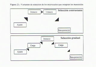 Ajuda Programa Mensual