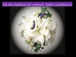 Em vão condenará você o pântano. Ajude-o a purificar-se. 