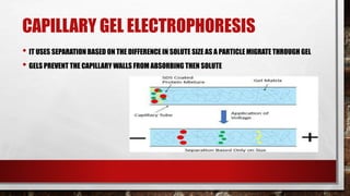CAPILLARY GEL ELECTROPHORESIS
• IT USES SEPARATION BASED ON THE DIFFERENCE IN SOLUTE SIZE AS A PARTICLE MIGRATE THROUGH GEL
• GELS PREVENT THE CAPILLARY WALLS FROM ABSORBING THEN SOLUTE
 