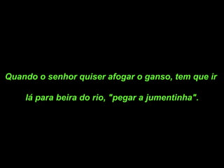 Quando o senhor quiser afogar o ganso, tem que ir  lá para beira do rio, "pegar a jumentinha". 